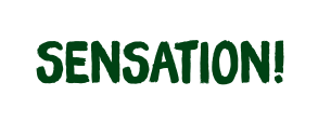 logo sensation